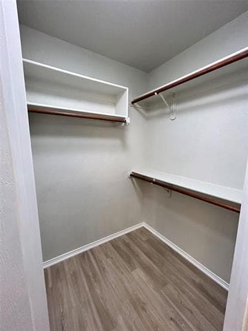 Building Photo - 928 Carlin Ln