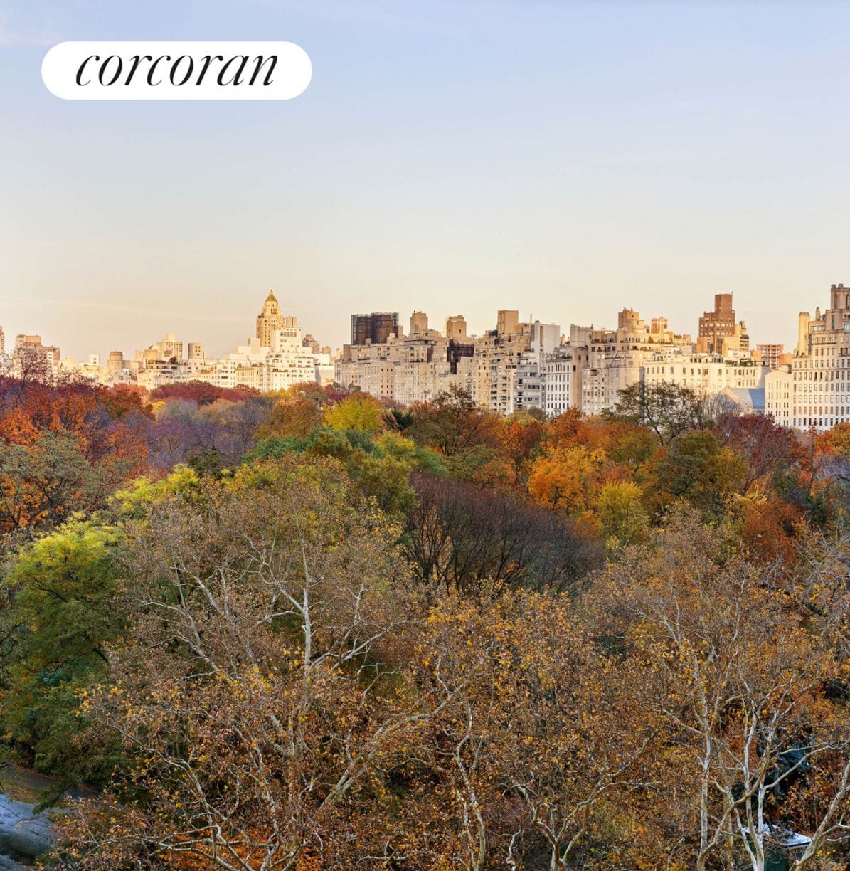 Building Photo - 110 Central Park S