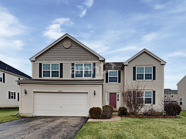 Primary Photo - 255 Springwood Dr