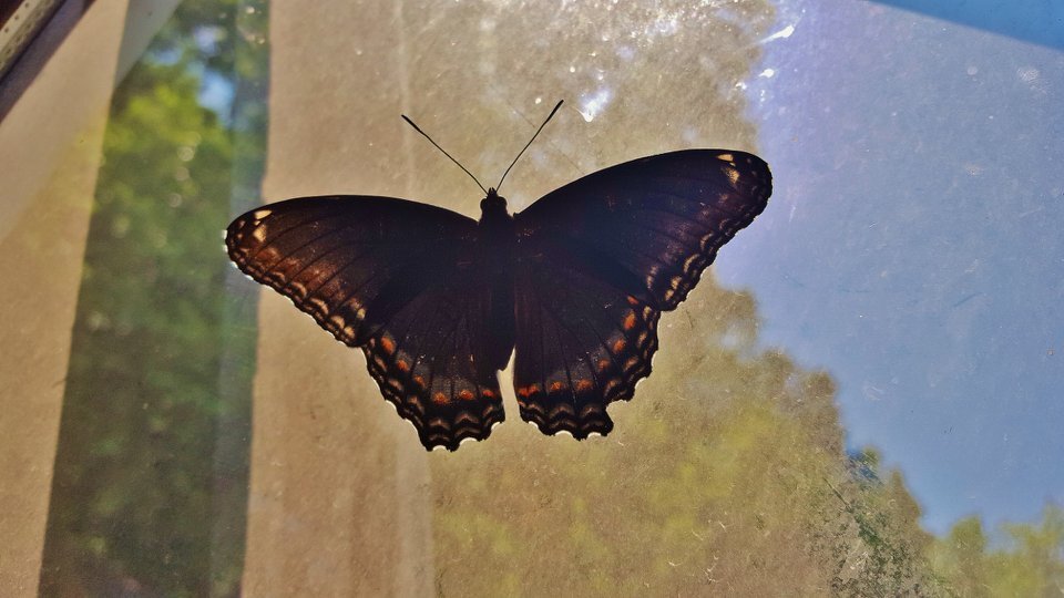 Building Photo - 1310 Hollow Rd