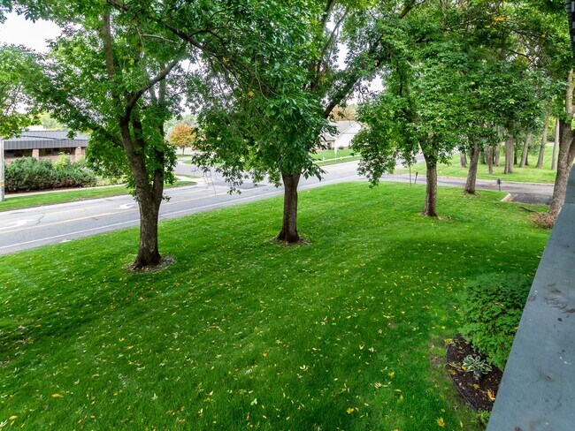 Building Photo - Charming One Bedroom In Roseville