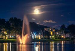 Building Photo - 3023 Alcazar Pl