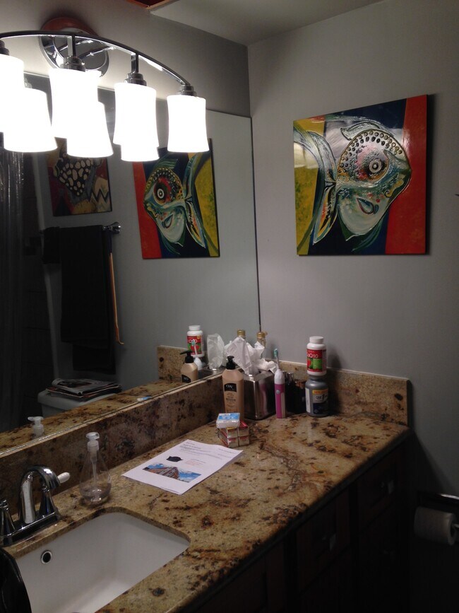 Main Bathroom - 2421 Ala Wai Blvd