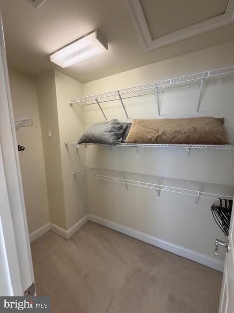 Building Photo - 320 Pink Azalea Terrace SE