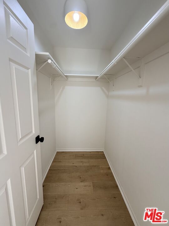 Building Photo - 1031 Coronado Ter