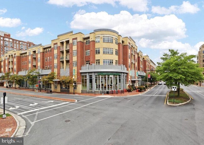 Building Photo - 309 Holland Ln