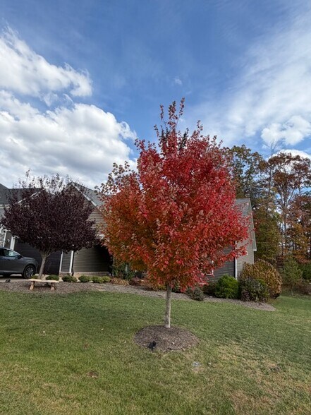 Building Photo - 42 Beech Tree Ln