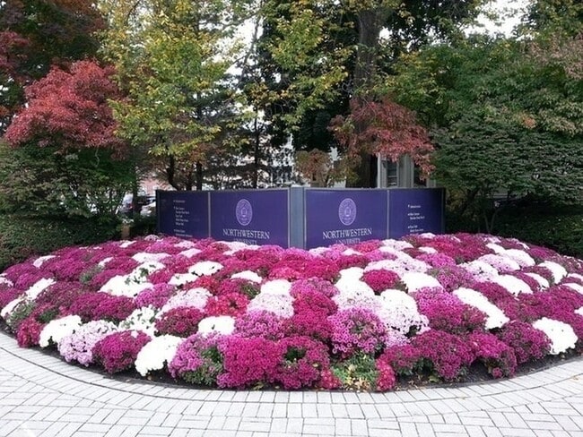 Building Photo - 807 Davis St