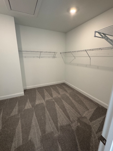 Building Photo - 708 Longleaf Grv Ln