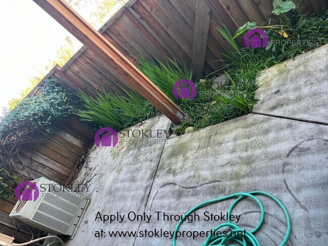 Building Photo - 523 Bustos Pl