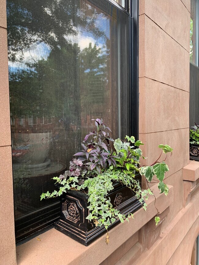 Building Photo - 559 Monroe St