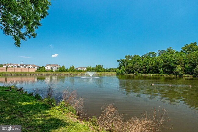 Building Photo - 1701 Lake Shore Crest Dr