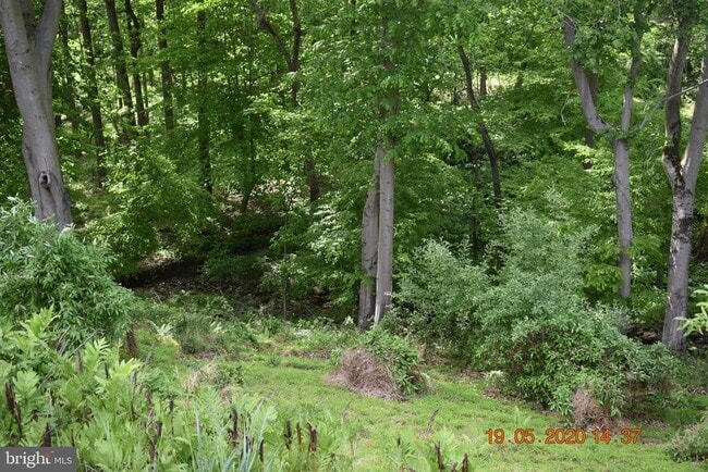 Building Photo - 16 Michael Ct