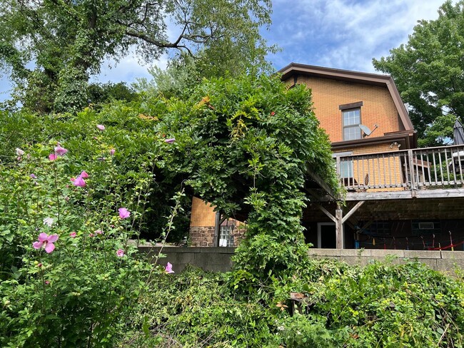 Building Photo - Charming 3 Bedroom with Lush Sunset Views ...
