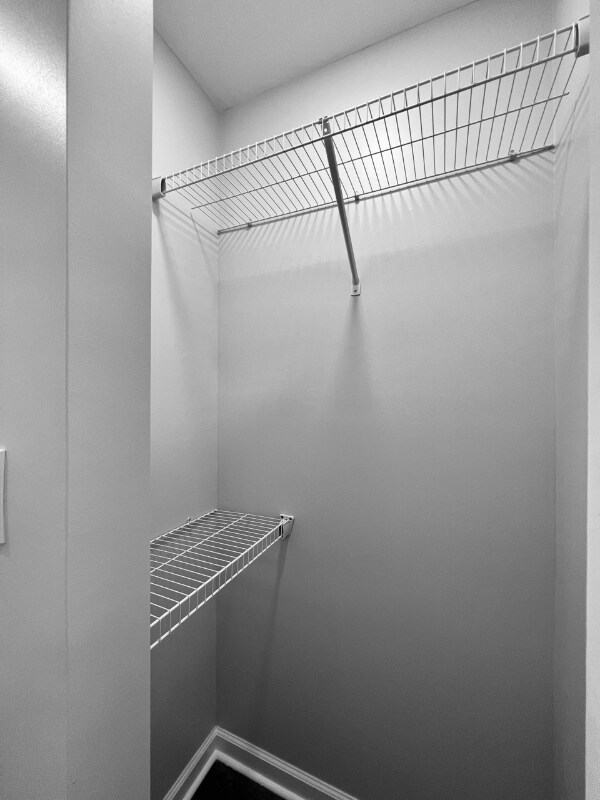 Building Photo - 313 Cabaret Ct