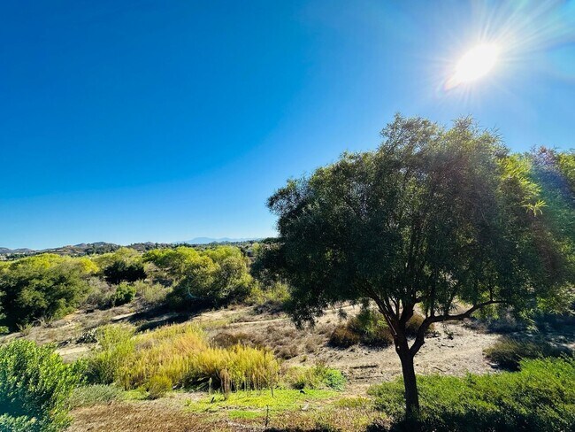 Building Photo - Oversized 5 bedroom Copper Canyon Murrieta...