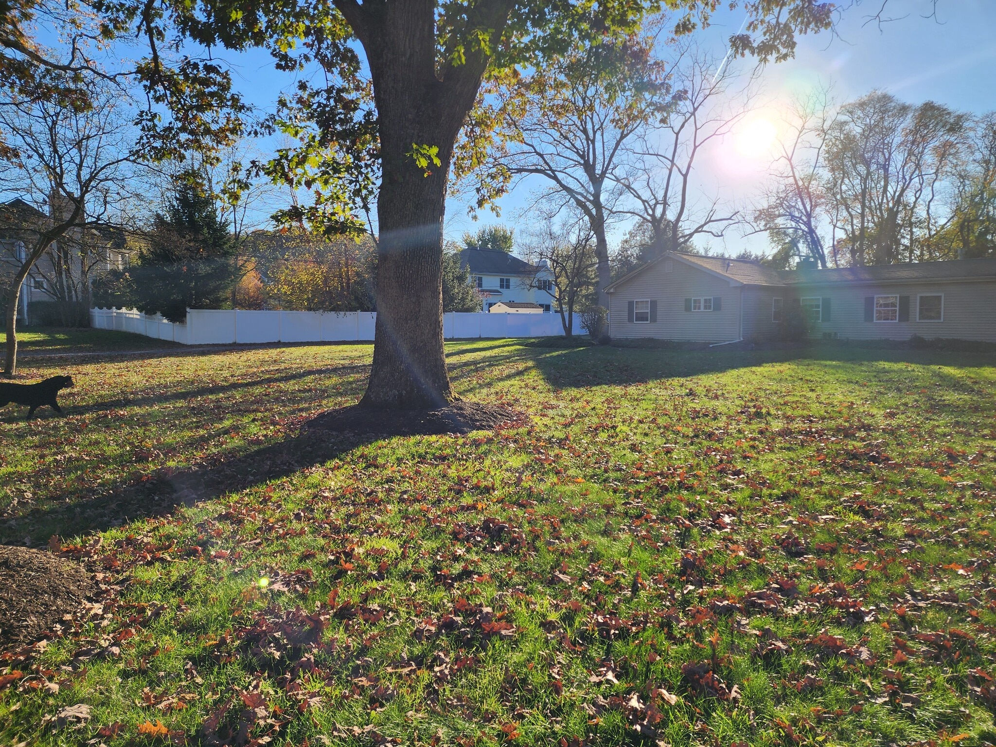 Building Photo - 296 Hockhockson