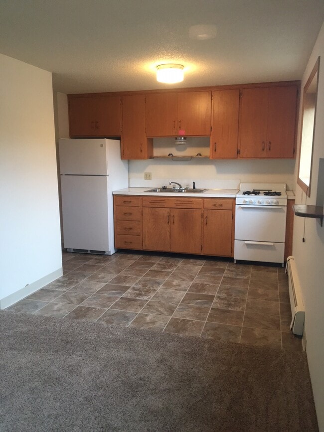 Primary Photo - Mille Lacs Manor Apartments
