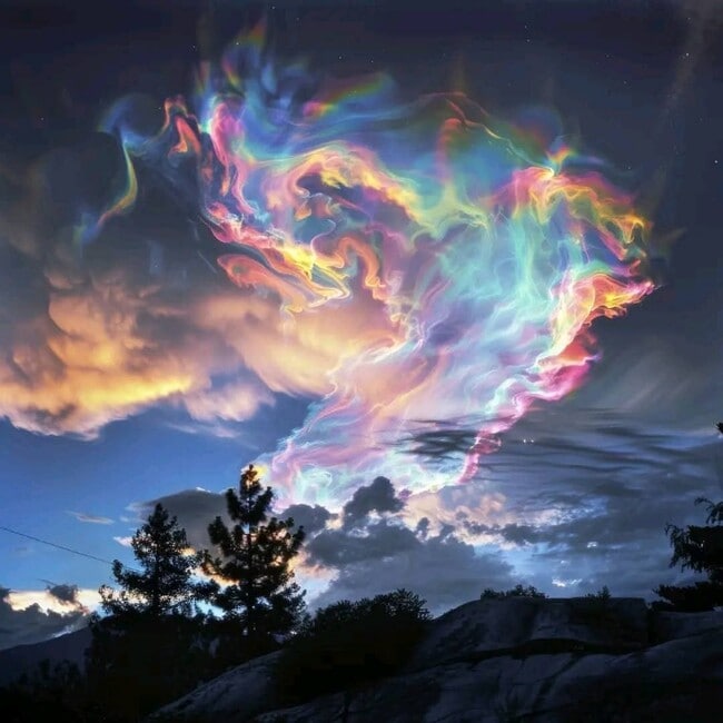 Building Photo - 5824 Pine Lake Dr