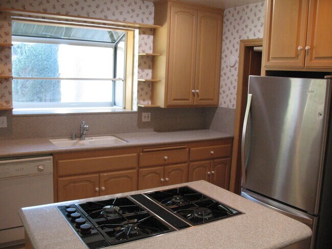 Kitchen / brand new refrigerator (bottom freezer) - 3121 W Wyoming Ave