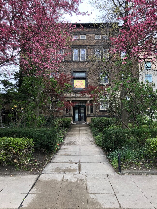 4806 Euclid Ave 4806 Euclid Ave Cleveland OH 44103 Apartment Finder