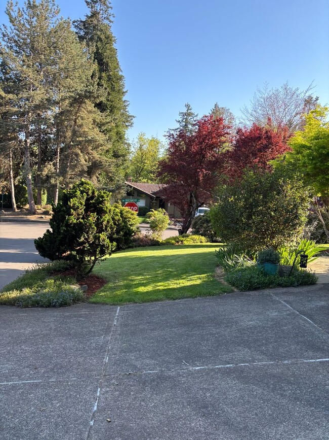 Building Photo - Large 4 Bedroom Home Close to Cook Family ...