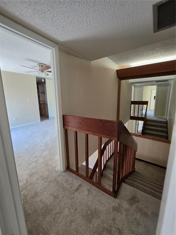 Building Photo - 3824 Saxon Dr