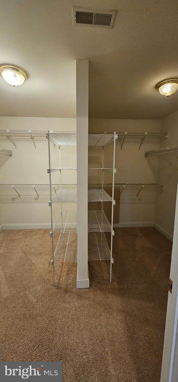 Building Photo - 123 Van Gogh Terrace