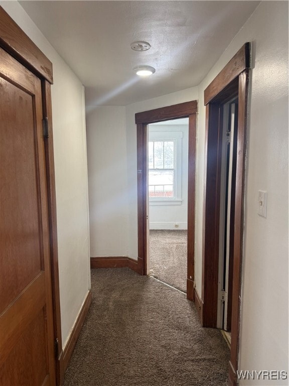 Building Photo - 214 Hoover Ave