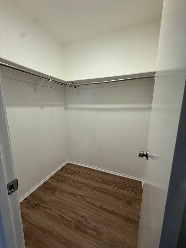 Building Photo - Newly Renovated Deltona Lakes Home!