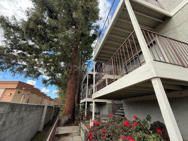 Building Photo - 38561 Princeton Terrace