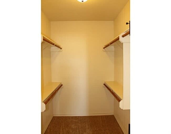 Building Photo - GORGEOUS 3 bed, 2 bath in Spring Creek Gar...