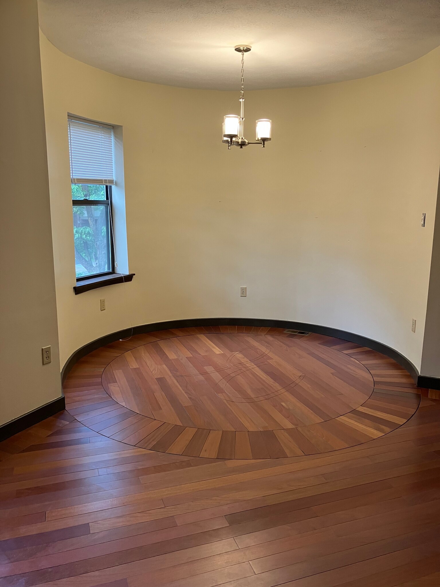 Brazilian cherry throughout this level - 6344 Aurelia St