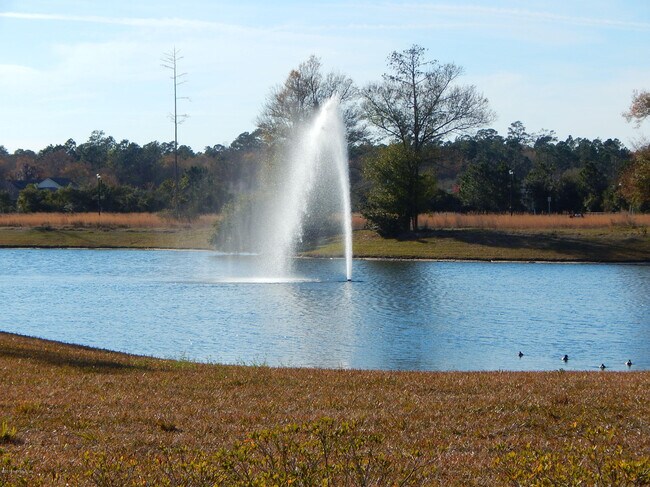 Building Photo - 539 Hedgewood Dr
