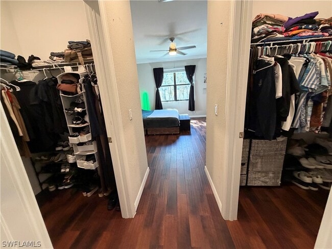 Building Photo - 4284 Raffia Palm Cir