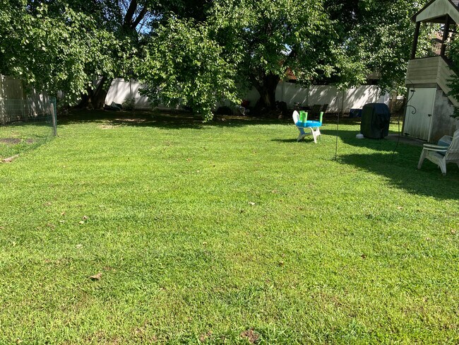 Back yard - 513 6th Ave