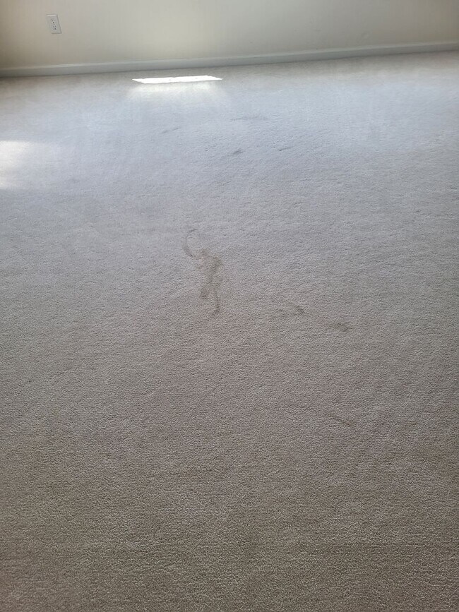 Building Photo - 5049 Pine Lake Ct