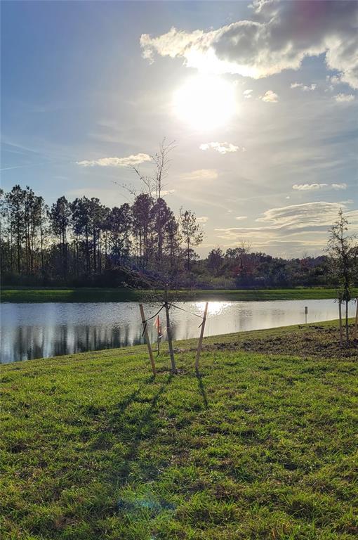 Building Photo - 538 Hatteras Rd