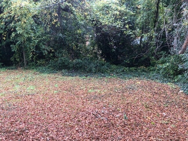 Building Photo - 544 Willson St