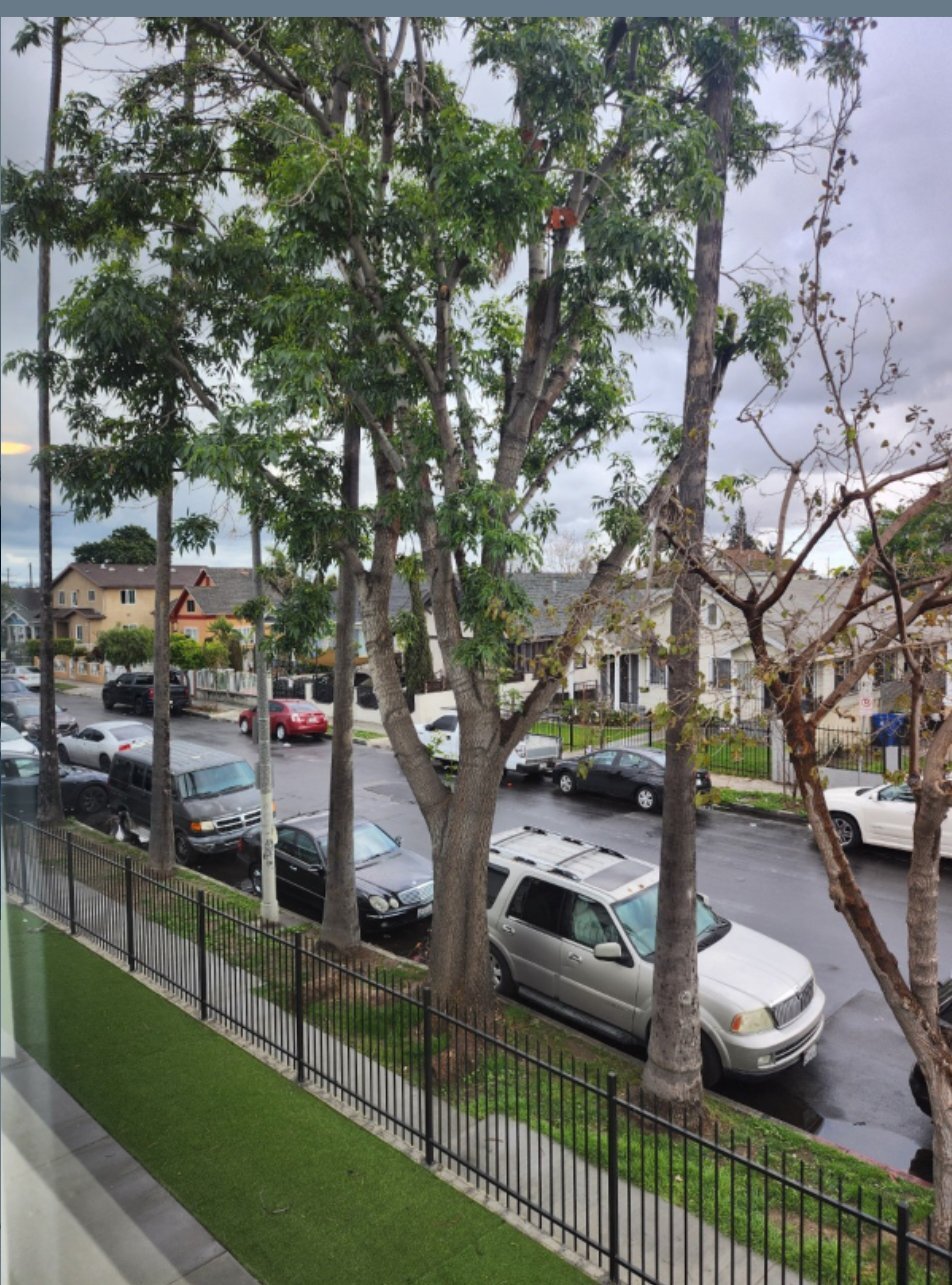 Building Photo - 4828 McKinley Ave