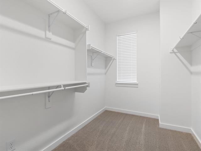 Building Photo - 871 Cavitt Ct