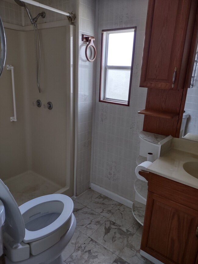 NEW TOILET IN REMODELED BATHROOM - 6520 Sun Country Dr