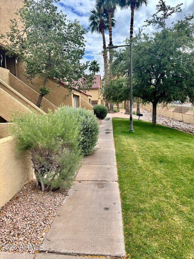 Building Photo - 4901 S Calle Los Cerros Dr