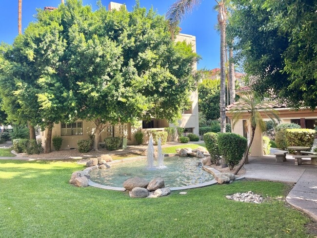 Building Photo - Luxurious 2 Bd 2 Ba Condo in Biltmore!