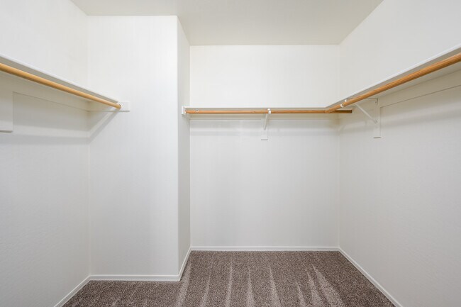 Master Bedroom - Walk-In Closet - 1024 E Frye Rd