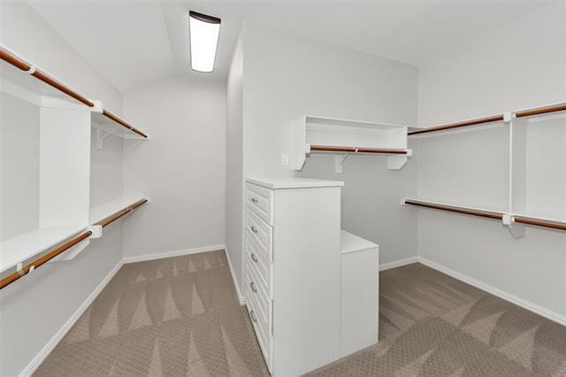 Building Photo - 1313 Mildred Ln