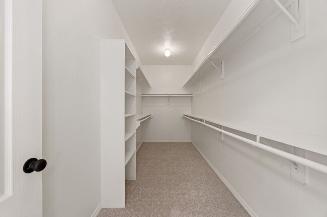 Building Photo - 910 Box Elder Dr