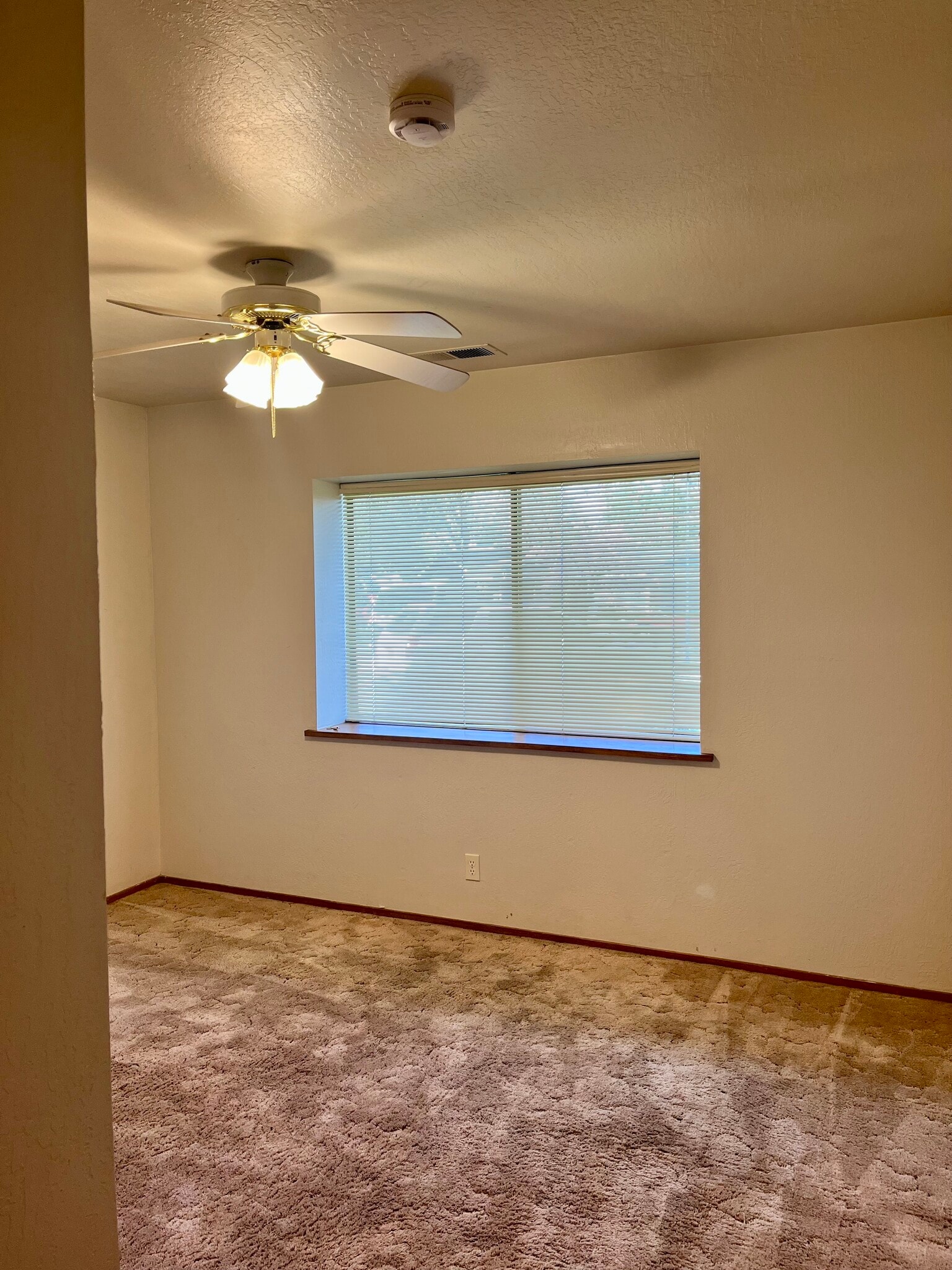 Building Photo - 5 Sun Circle Ct