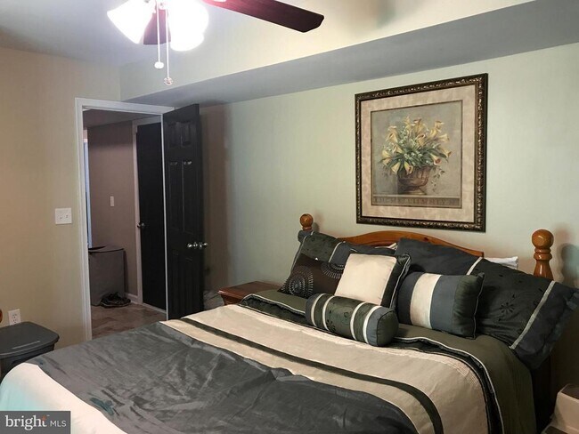 Building Photo - 8 Plumosa Dr