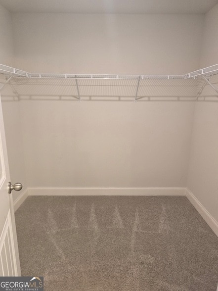 Building Photo - 3341 Baneberry Trl